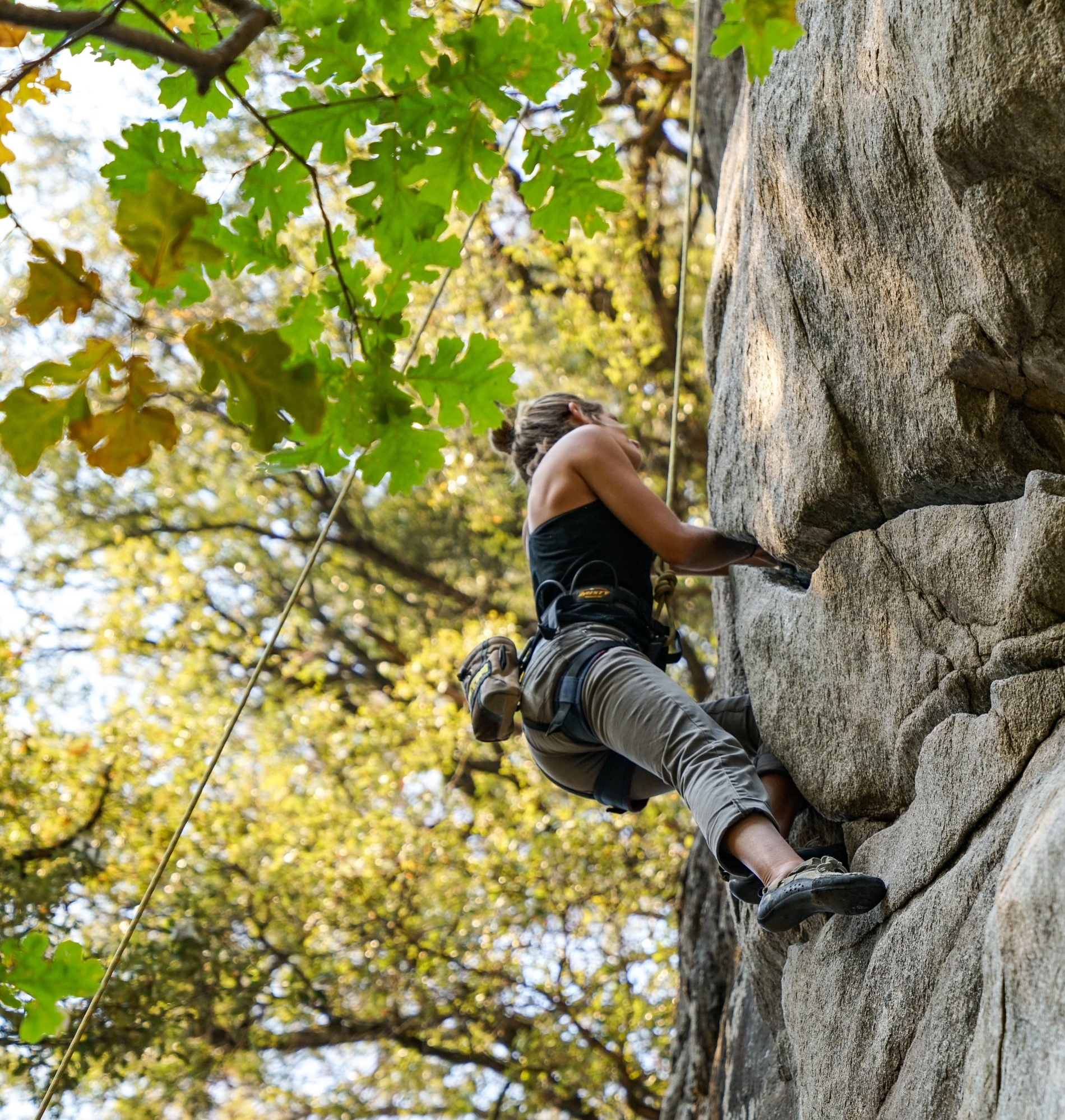 climbing2.jpg