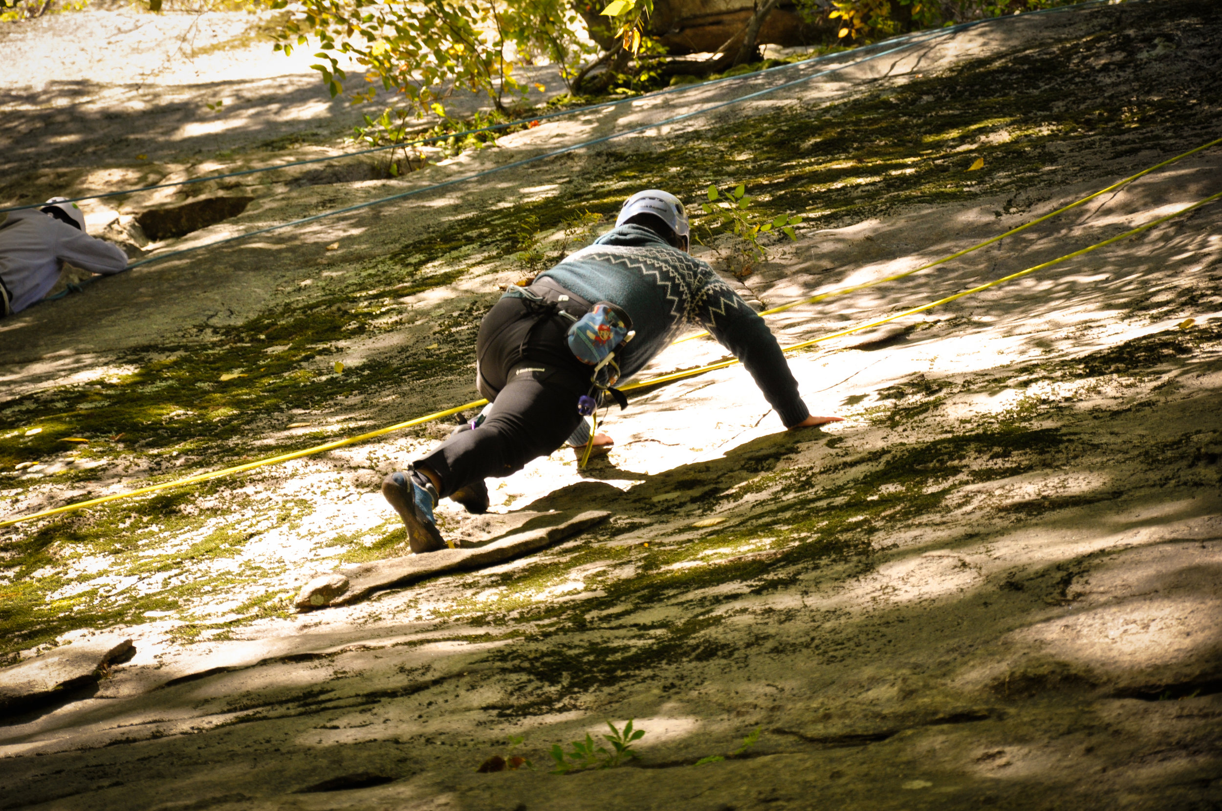 GOAT | 2019 Ledge Oct 5-5.jpg