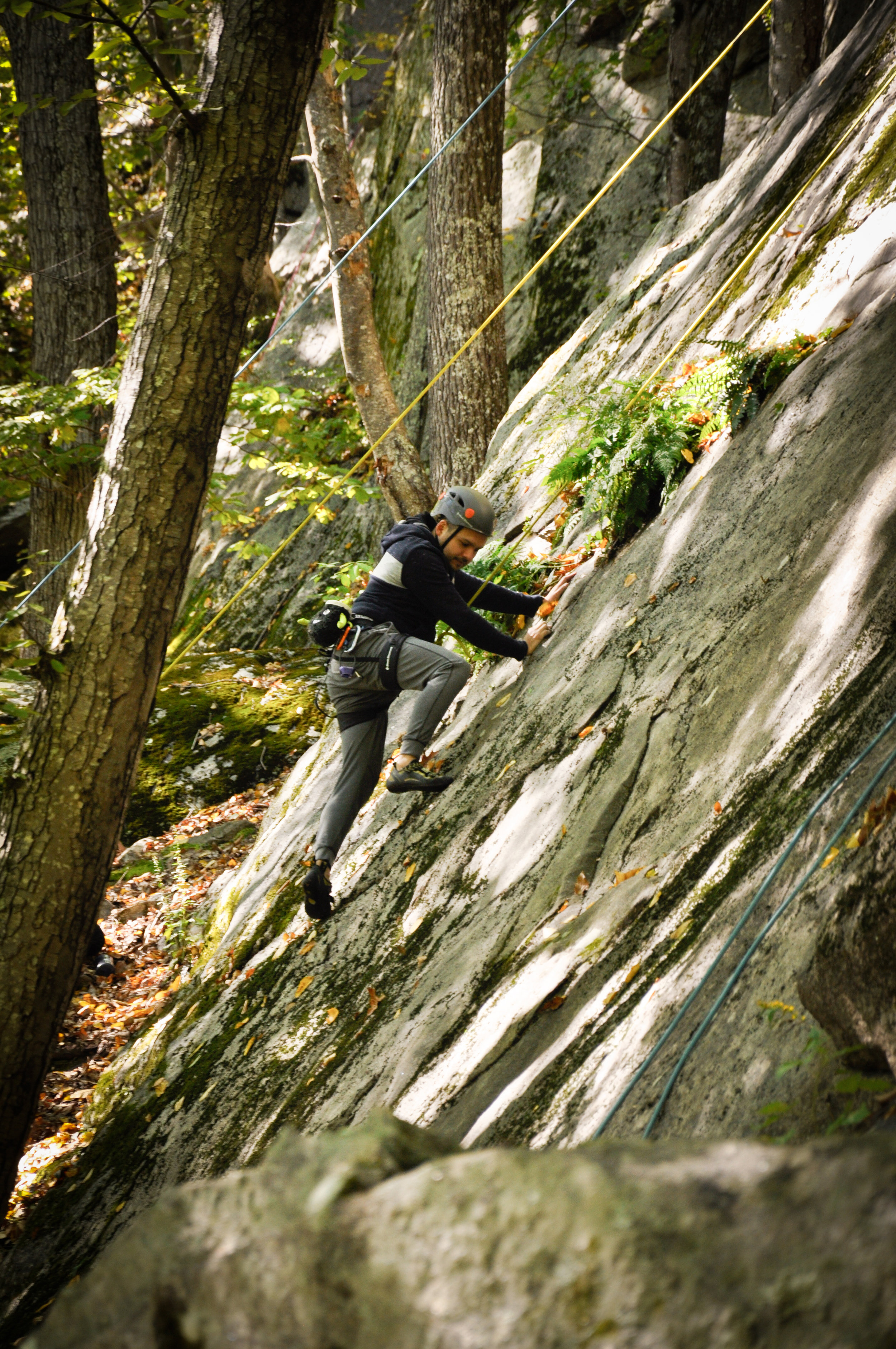 GOAT | 2019 Ledge Oct 5-10.jpg